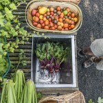 Otahuna Lodge New Zealand South Island from garden to table