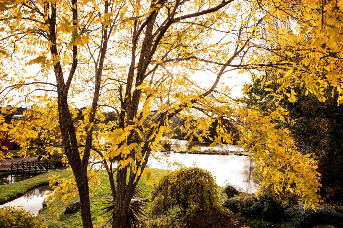 View of the lake from Lake House waterfront suites during late autumn