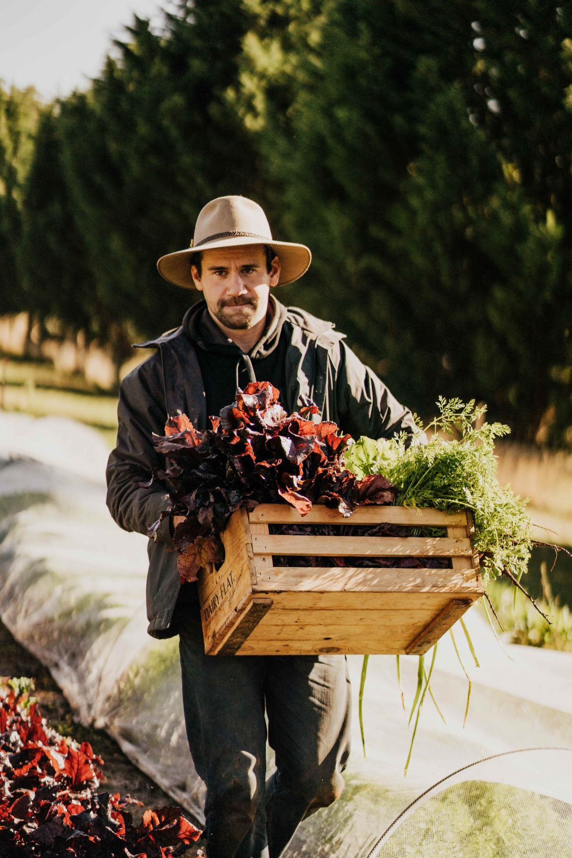 Pedro Parzewski-Neves oversees the harvest for the Wolf-Tasker properties