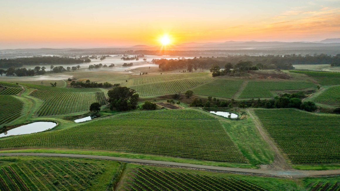 landscape view across the Hunter Valley